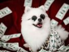 PRODUTO 6 Lorem Ipsum Dolor Sit Amet